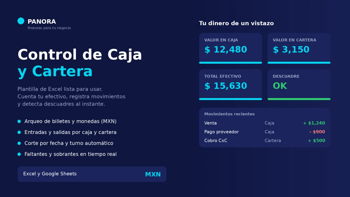 Control de Caja y Cartera
